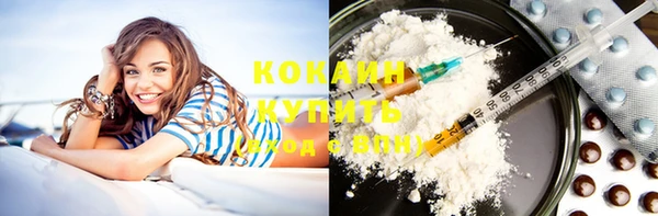 крисы Арсеньев