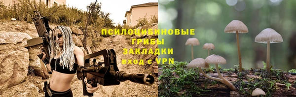 крисы Арсеньев