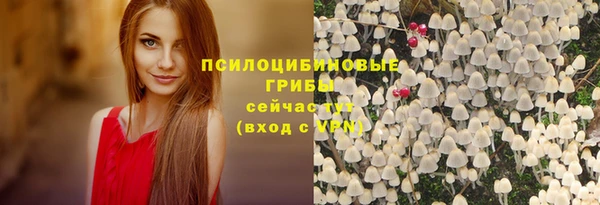 ГАЛЛЮЦИНОГЕННЫЕ ГРИБЫ Армянск
