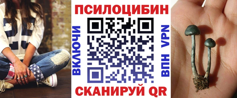 МЕГА ONION  Райчихинск  Псилоцибиновые грибы мицелий 